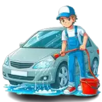 تنظيف السيارات فى نيوزيلندا