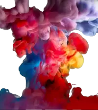 تصاميم إبداعية فى Gisborne